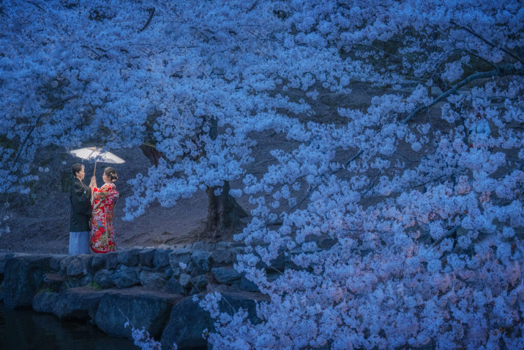 奈良　桜　和装前撮り