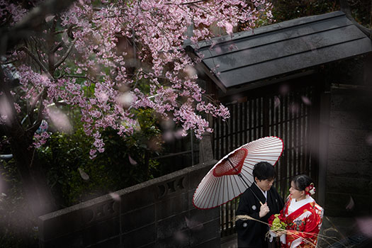 奈良 桜 前撮り