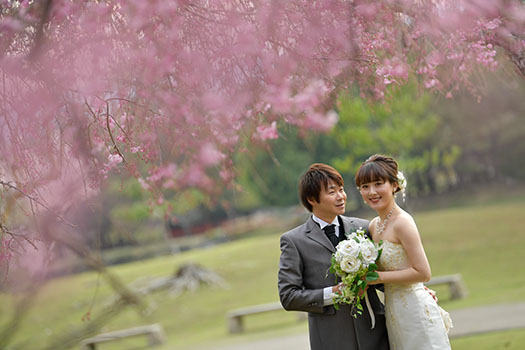 奈良 桜 前撮り