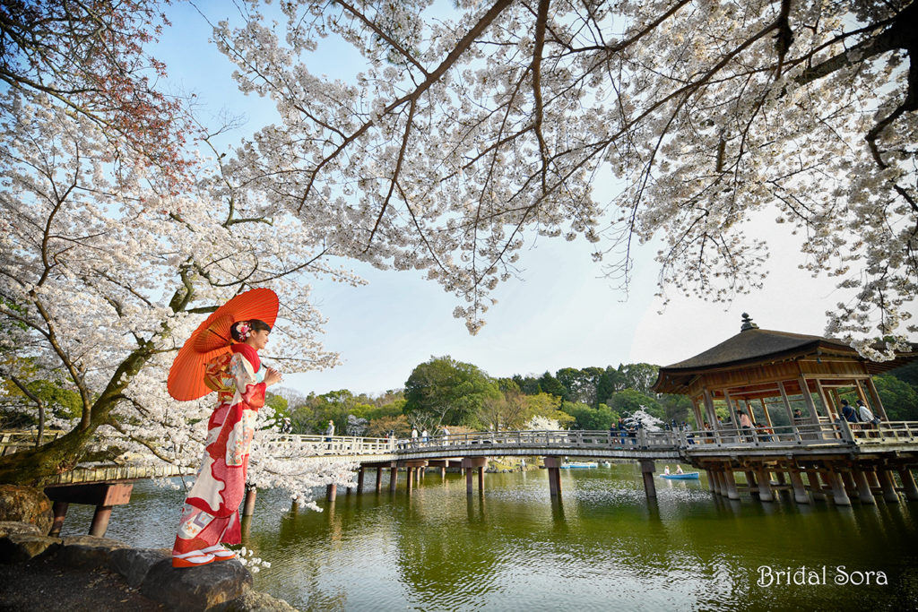浮見堂 桜 ロケフォト