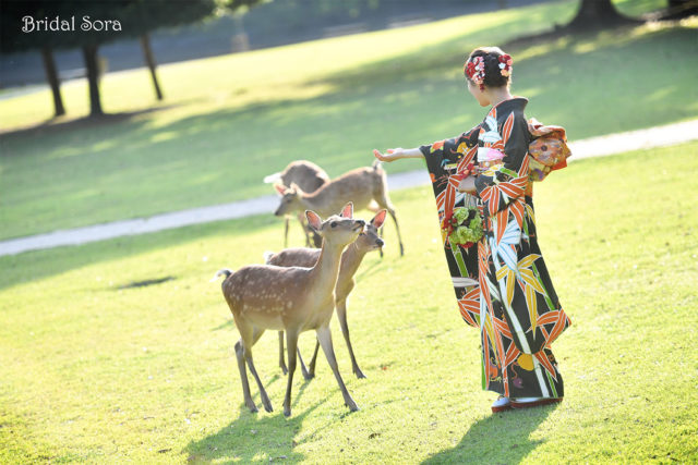 奈良公園　鹿　成人式