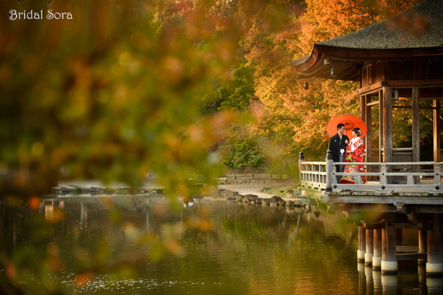 奈良公園　浮見堂　前撮り