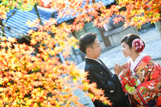 奈良公園　紅葉　前撮り