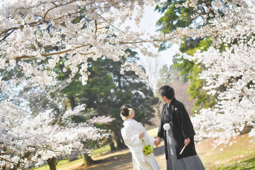 奈良　桜　前撮り