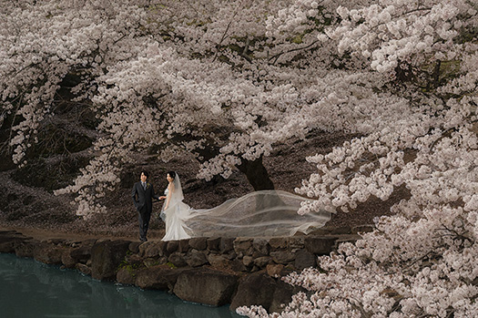 奈良　フォトウェディング　写真だけの結婚式