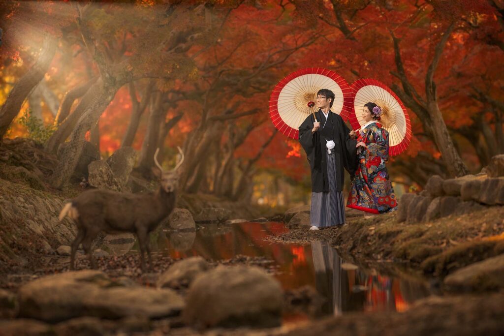 吉城川の紅葉と結婚式