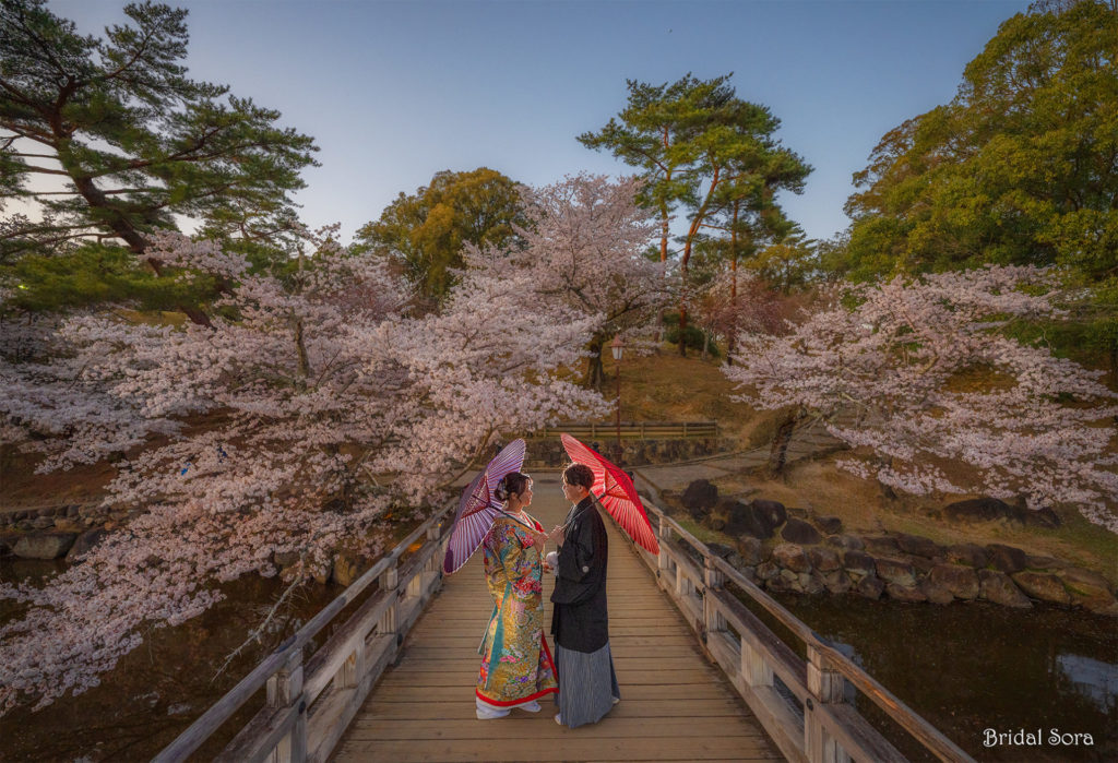 奈良　桜　和装