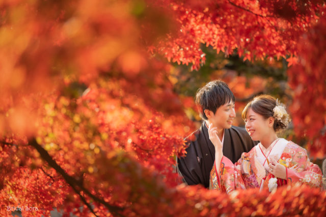 奈良公園　紅葉　和装ロケーションフォト