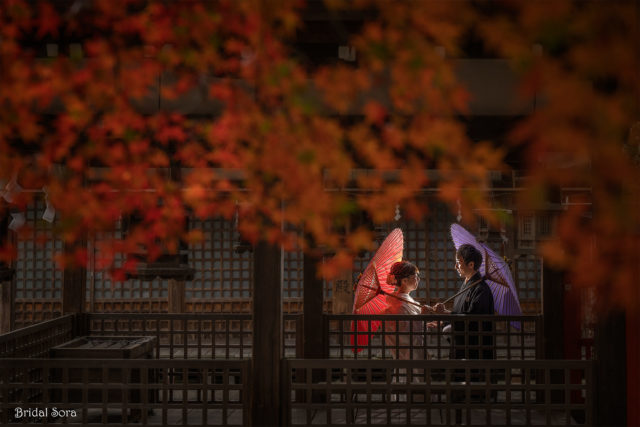 奈良公園　紅葉　ロケーションフォト