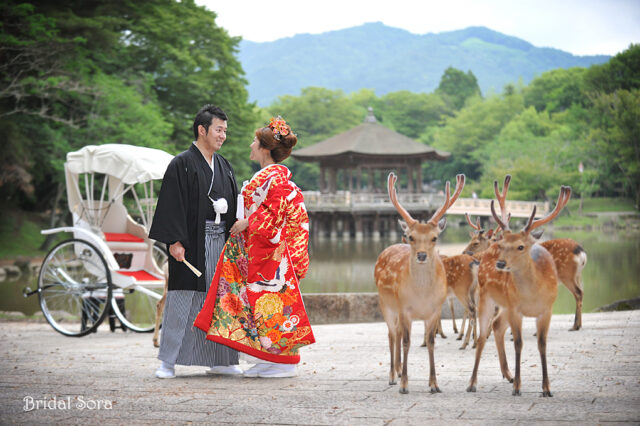 浮見堂で鹿と色打掛の結婚式写真