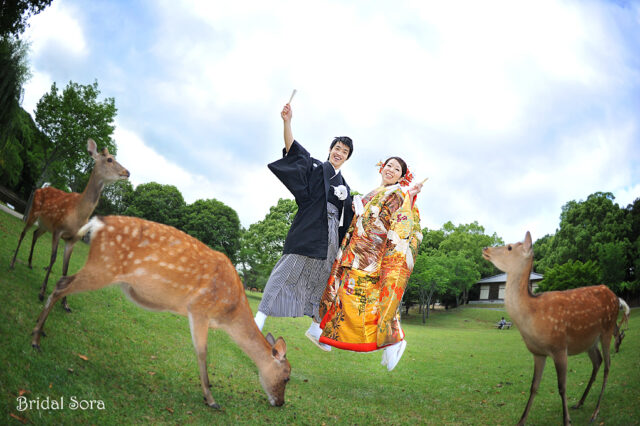 鹿と色打掛のジャンプ結婚写真