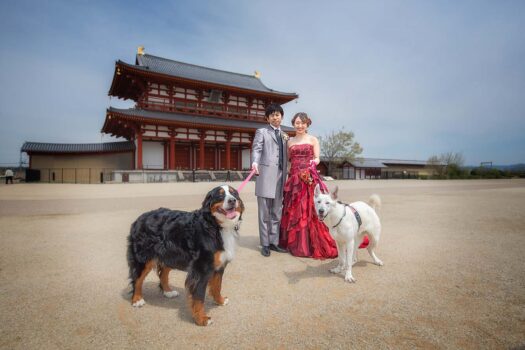 大型犬と一緒に結婚式写真撮影