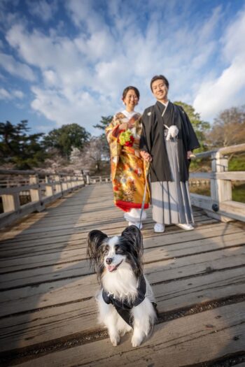 パピヨンと結婚式写真