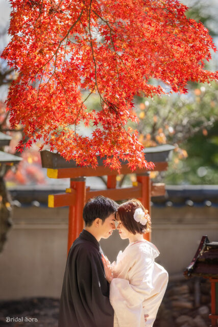 奈良　神社　ロケーションフォト