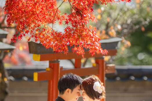 奈良　神社　ロケーションフォト