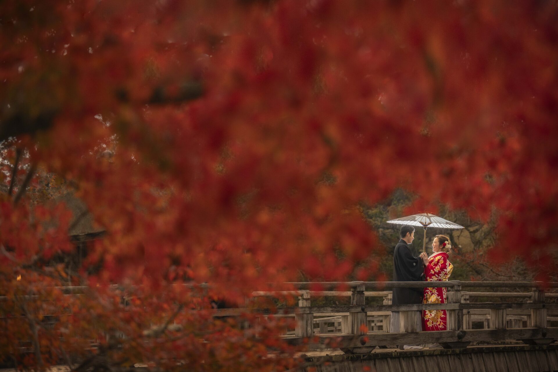 奈良公園の紅葉ウェディングフォト