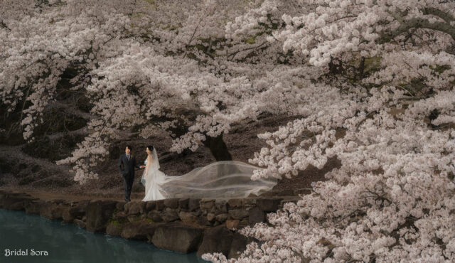 奈良　桜　ロケーション前撮り
