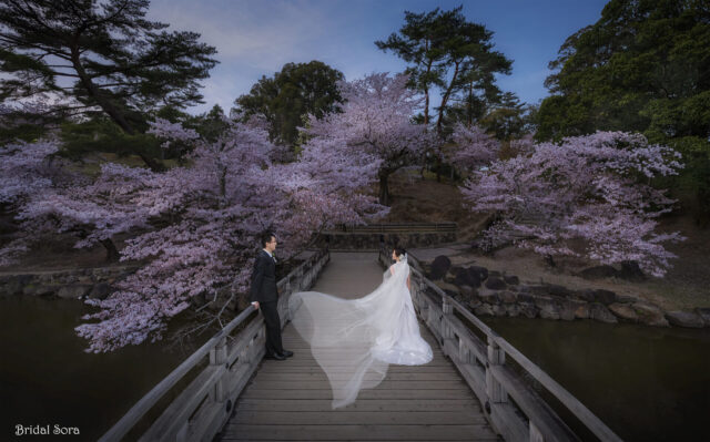 奈良　桜　ロケーションフォトウェディング