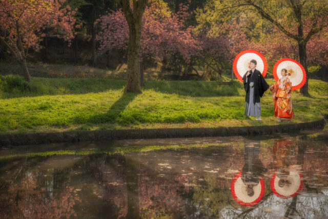 奈良　八重桜　前撮り