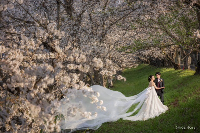 奈良　桜　ロケーションフォトウェディング