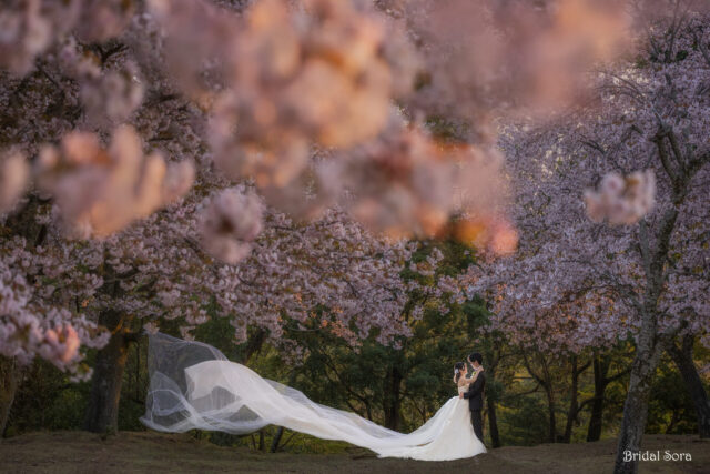 奈良　ウェディングドレス　ロケーションフォト