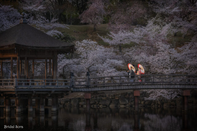 浮見堂　桜　ロケーションフォト