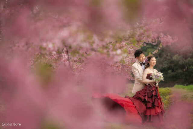 奈良　河津桜　カラードレスウェディングフォト